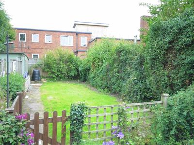 Picture 20